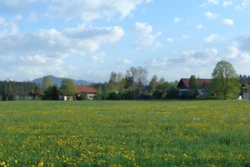 Ferien Bauernhof: Reicharthof