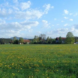 Ferien Bauernhof: Reicharthof