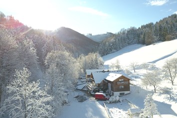 Ferien Bauernhof: Biohof Lueg im Winter - Biohof Lueg