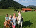 Ferien Bauernhof: Der AuszeitHof