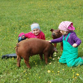 Ferien Bauernhof: Schweine streicheln - Der AuszeitHof