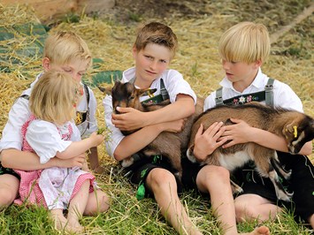 Ferienhof Linder am Forggensee I nostri animali le capre