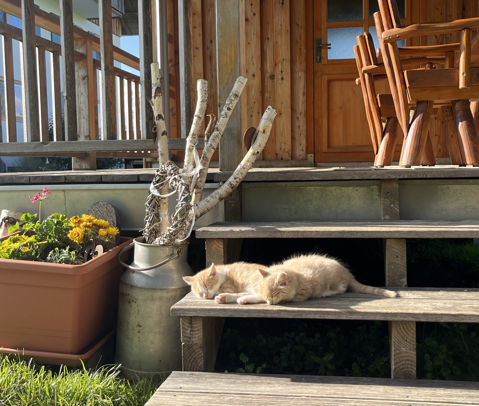 Ferien Bauernhof: Wer möchte denn nicht gerne mal ein Päuschen vor unserem Gartenhaus machen? - Ferienhof Nägele