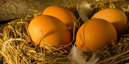 Urlaub auf dem Bauernhof - Egg (Egg) - Symbolbild für Urlaub auf einem Bauernhof - Ferienhof Lechleiter