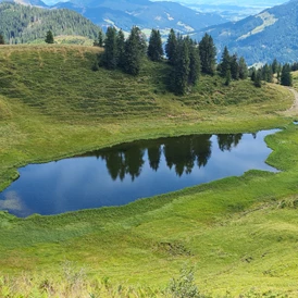 Ferien Bauernhof: Lochbihlerhof in Wertach