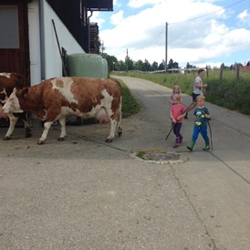 Ferien Bauernhof: Ferienhofkinder helfen beim Kühe holen - Bergbauernhof Meßmang