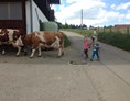 Ferien Bauernhof: Ferienhofkinder helfen beim Kühe holen - Bergbauernhof Meßmang