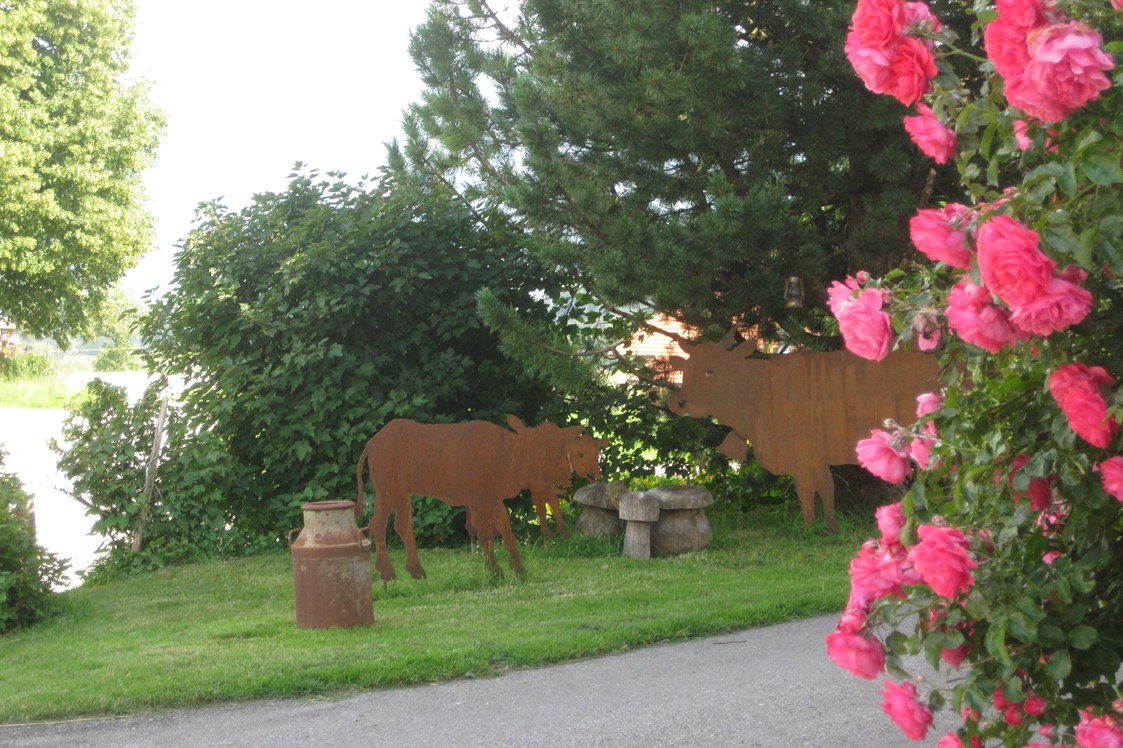 Ferien Bauernhof: Rosenblüte am Hof - Bergbauernhof Meßmang