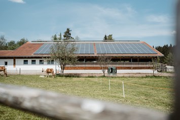 Ferien Bauernhof: Unser Biohof. Landwirtschaft aus Leidenschaft. - Biohof Stadler