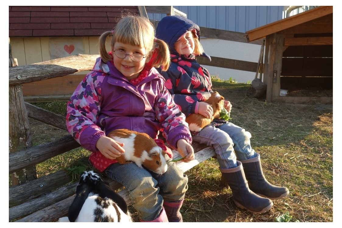 Ferien Bauernhof: Im Streichelzoo bei Hasen und Meerschweinchen  - Ferienhof Sinz