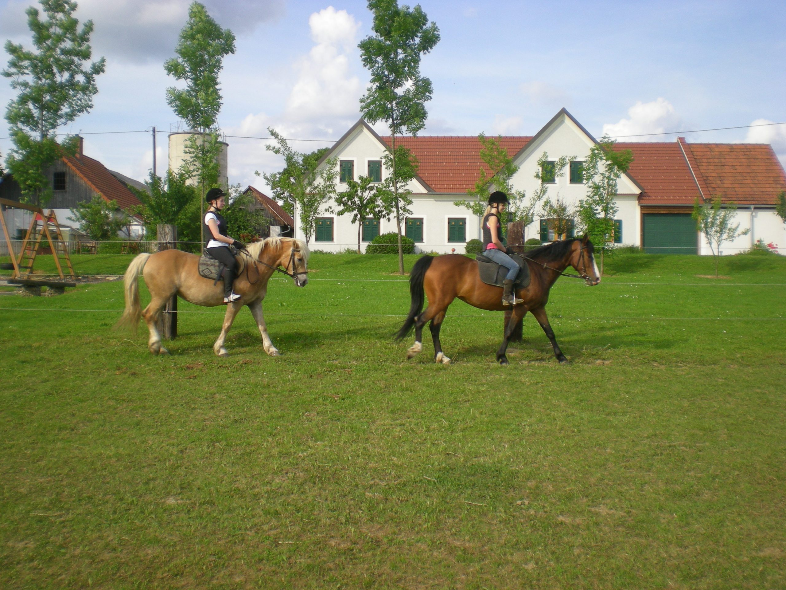 Ferien Bauernhof: Dorfhof Bauer