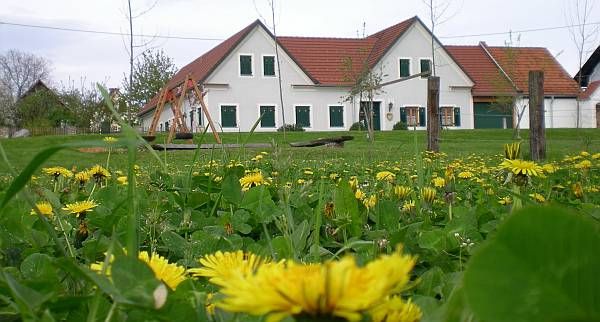 Ferien Bauernhof: Dorfhof Bauer