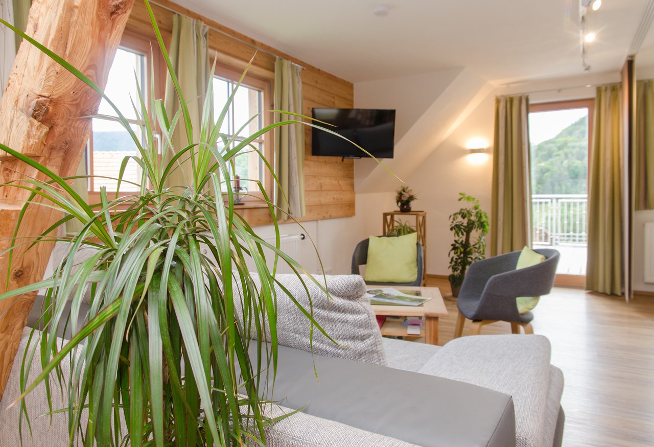 Promschhof  Ferienwohnung Schöcklblick Predstavitev prostorov Schöcklblick