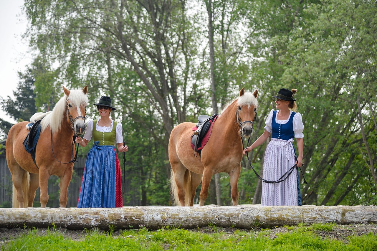 Kühbergerhof Our animals Sunny and whiskey