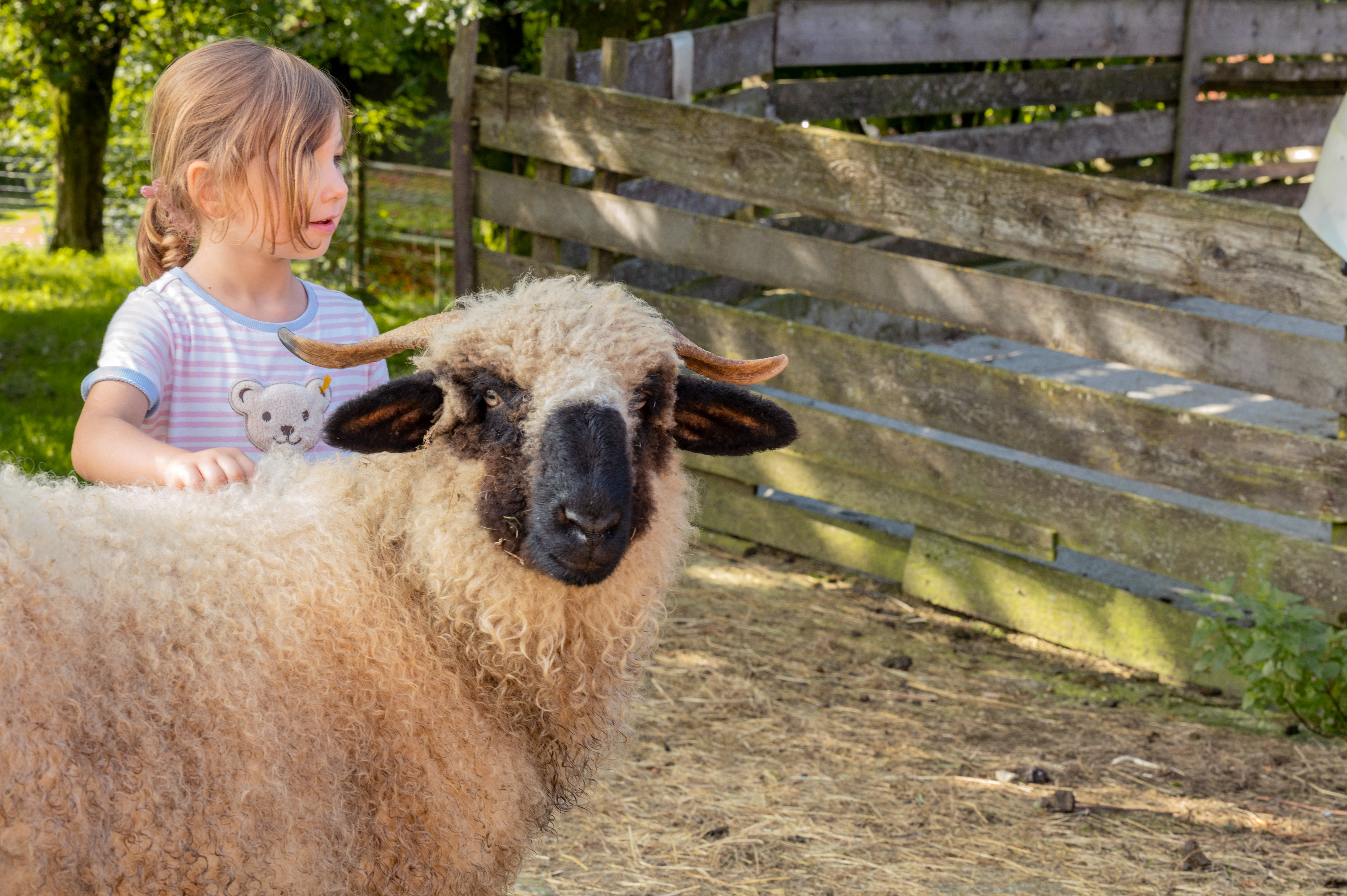 Ferien Bauernhof: Schafe/Ziegen - Fuchshof