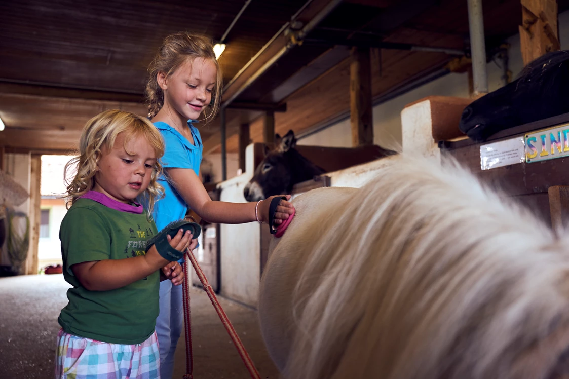 Ferien Bauernhof: Ponypflege - Ponyferienhof Eder