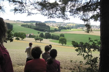 Ferien Bauernhof: Wandern  Weitsicht - Gschwandnerhof