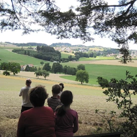 Ferien Bauernhof: Wandern  Weitsicht - Gschwandnerhof