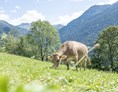Ferien Bauernhof: Bergbauernhof Ganahl