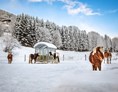 Ferien Bauernhof: Unsere lieben Pferde im Schnee - MILLINGHOF