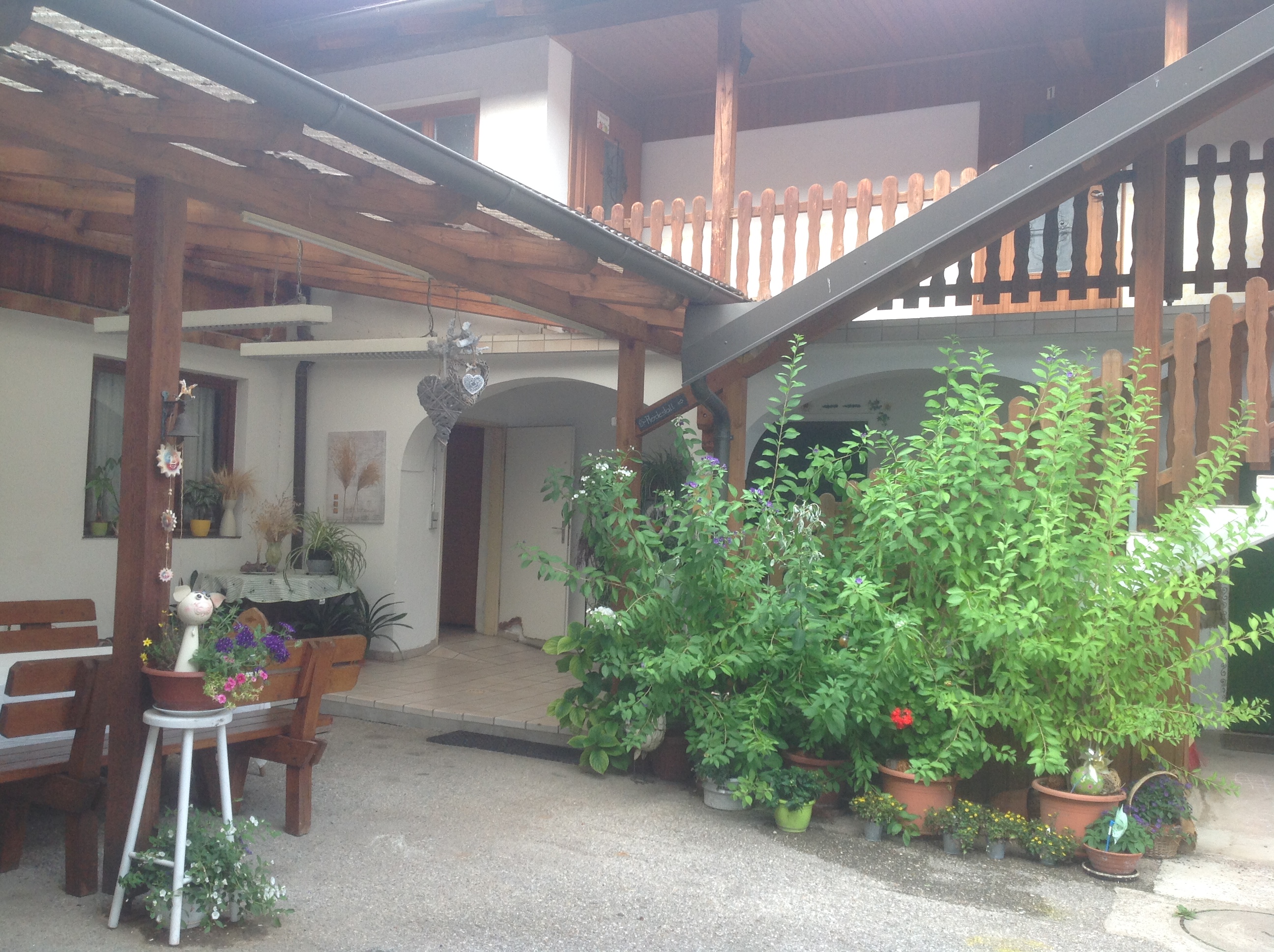 Urlaub auf dem Bauernhof - Ponyreiten - Niederösterreich - Gaudihof Kaltenbrunner