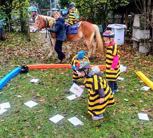 Urlaub auf dem Bauernhof - Ponyreiten - Niederösterreich - Reitpädagogik für Kinder ab 3 Jahren  - Gaudihof Kaltenbrunner