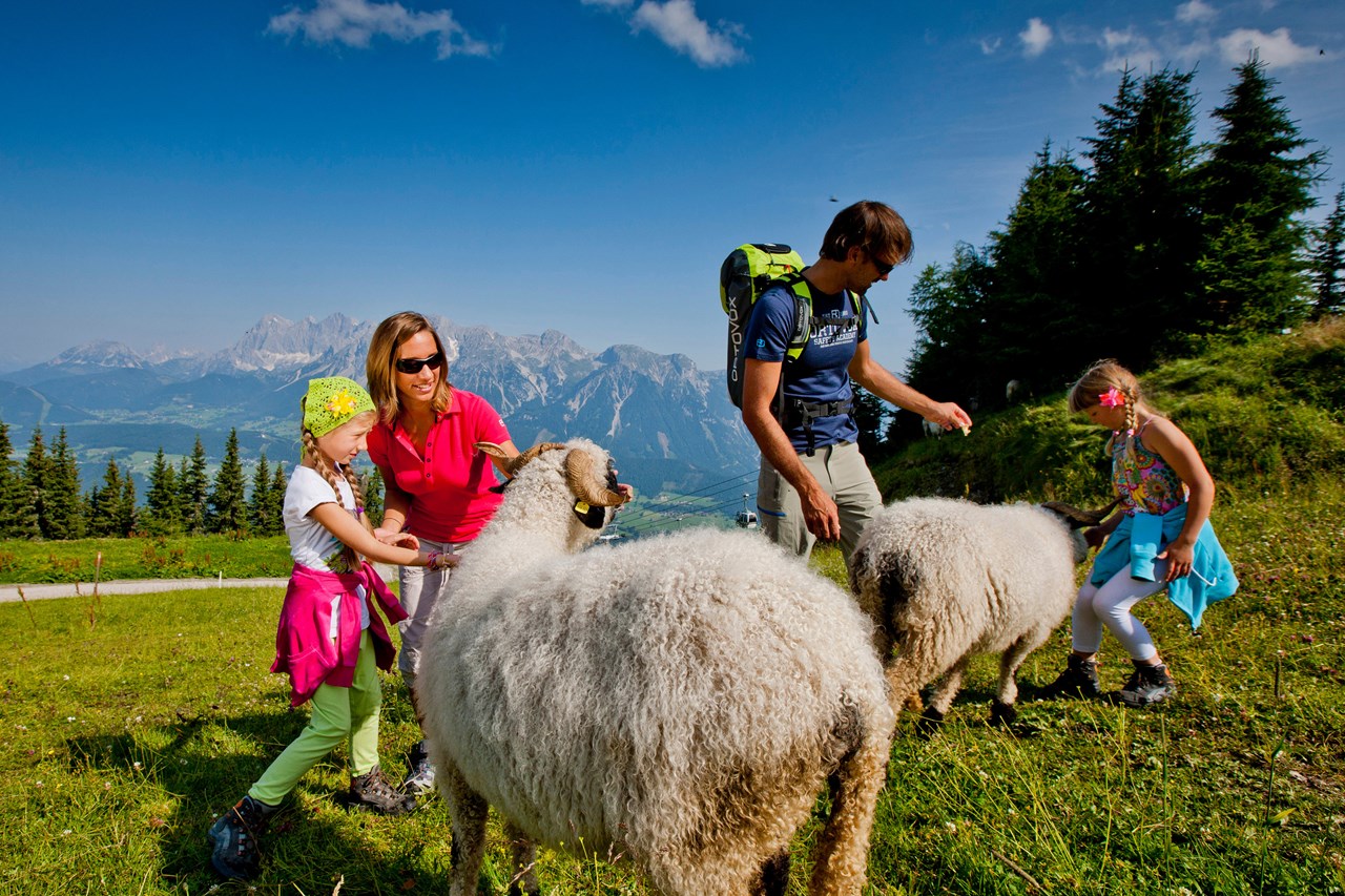 Abelhof Destinations Planai Hopsiland