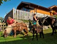 Ferien Bauernhof:  Die Isländer Pferde fertig machen zum Ponyführen. - Abelhof