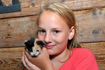 Ferien Bauernhof: Katzenbabys zum streicheln und kuscheln. - Abelhof