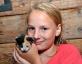 Ferien Bauernhof: Katzenbabys zum streicheln und kuscheln. - Abelhof