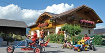 Urlaub auf dem Bauernhof - Steiermark - Am Hof ist immer was los, Kinder lieben unsere Gokarts. - Abelhof