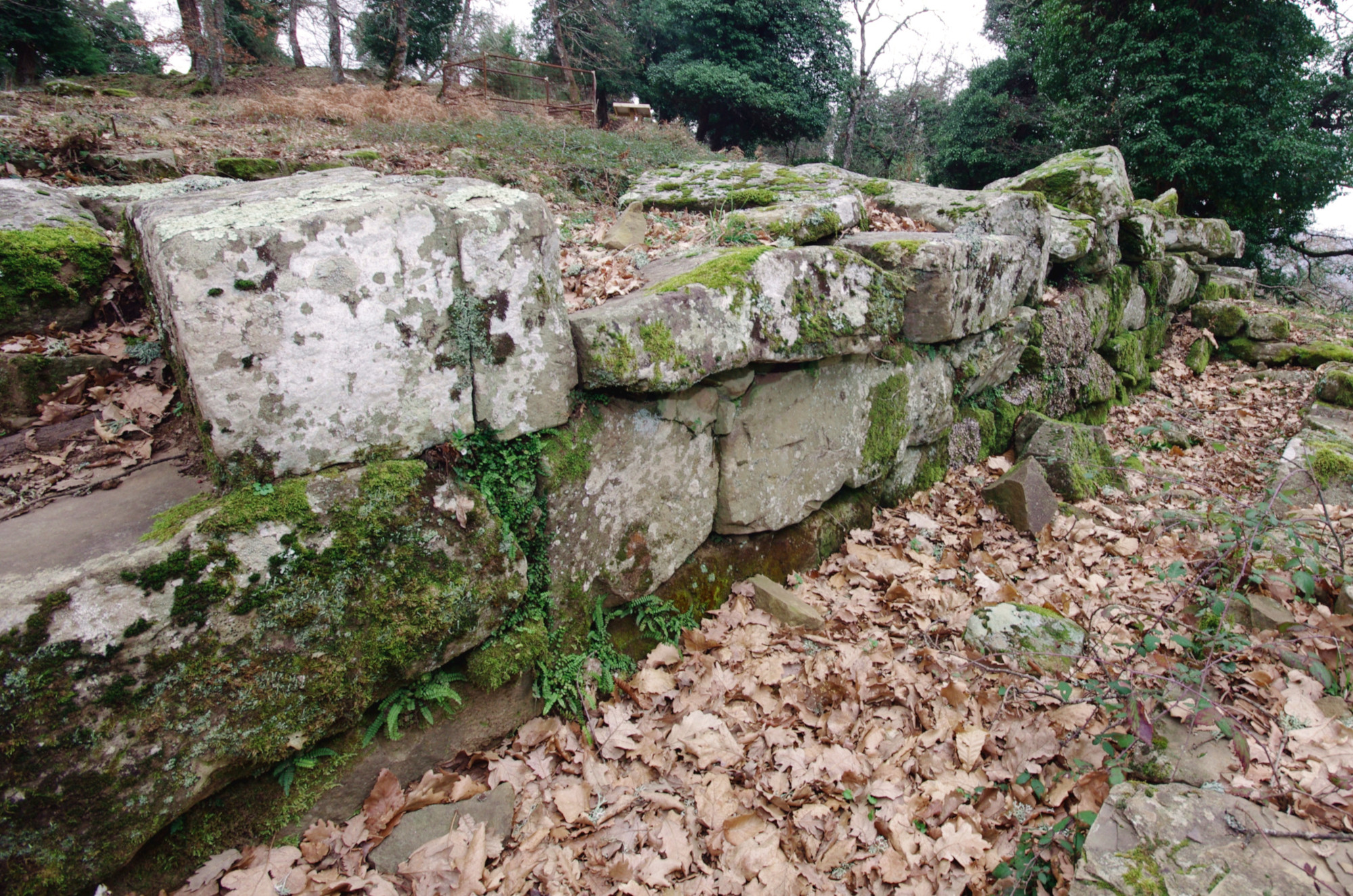 Badia a Coltibuono Destinations Etruscan Village Excursions