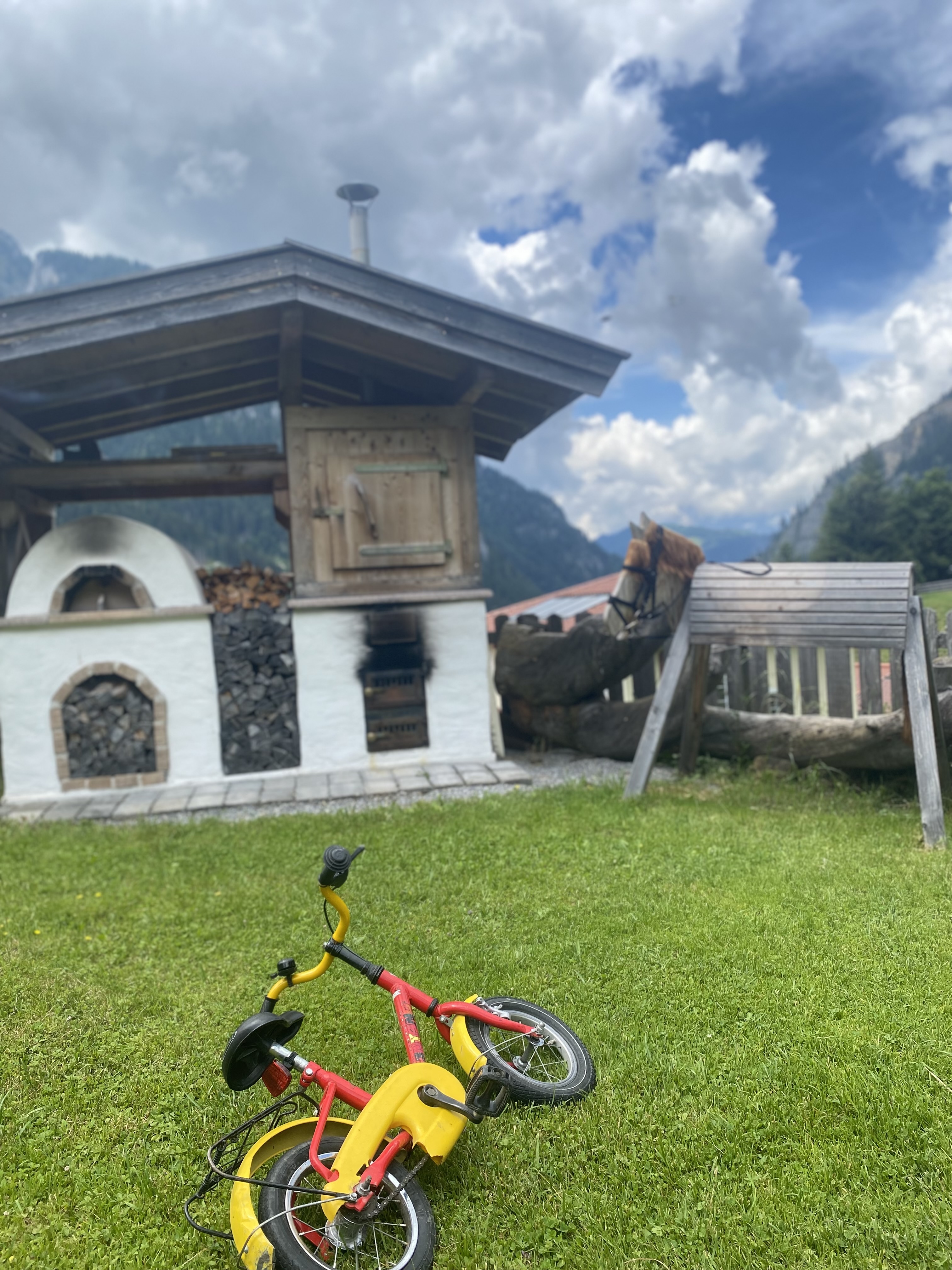 vacanza in fattoria - Großarltal - Landhaus Dorfer - Obergollegg