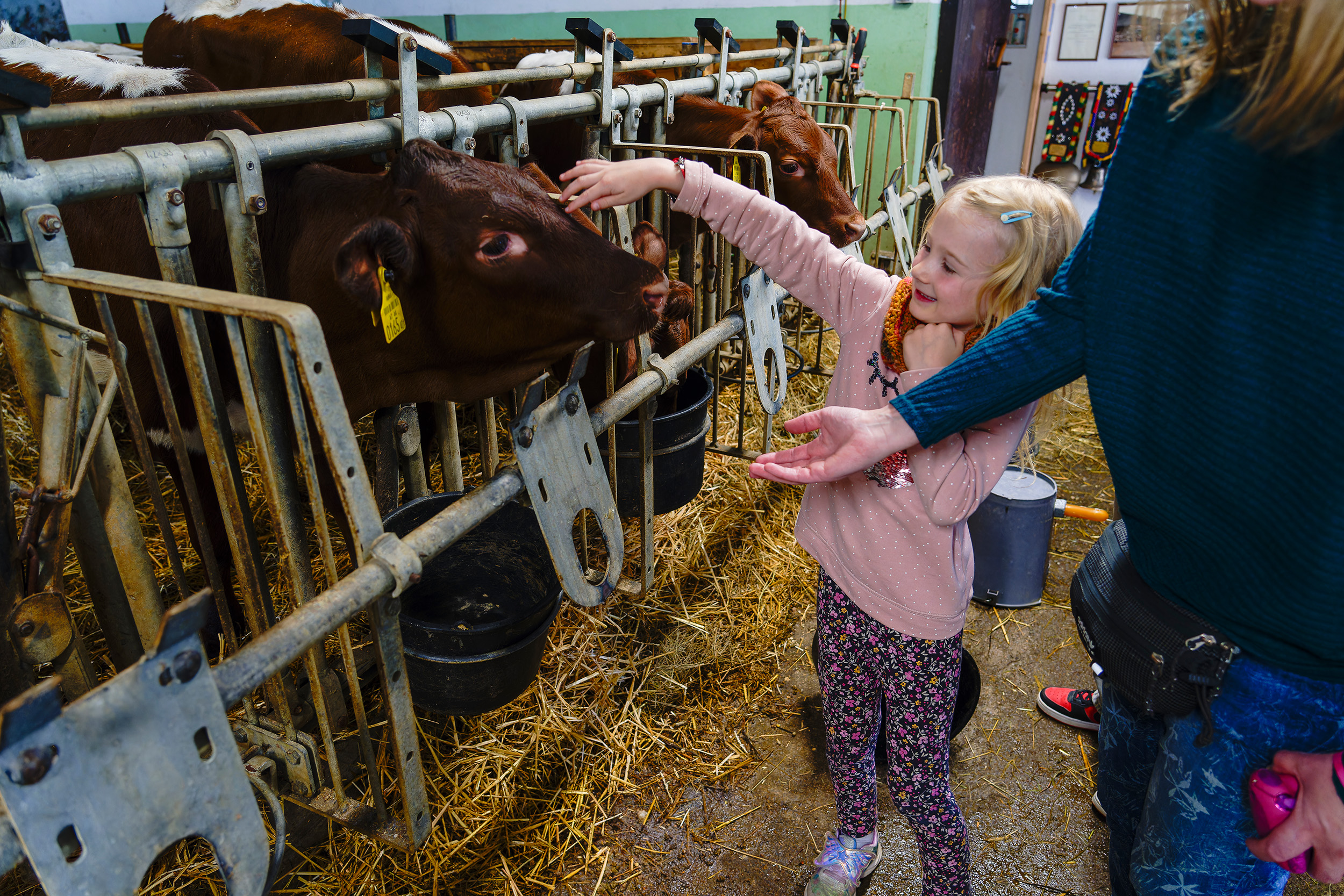 Ferien Bauernhof: Tiere kennen lernen im Stall - Lehenhof - Gospodarsko dvorište, Životinje