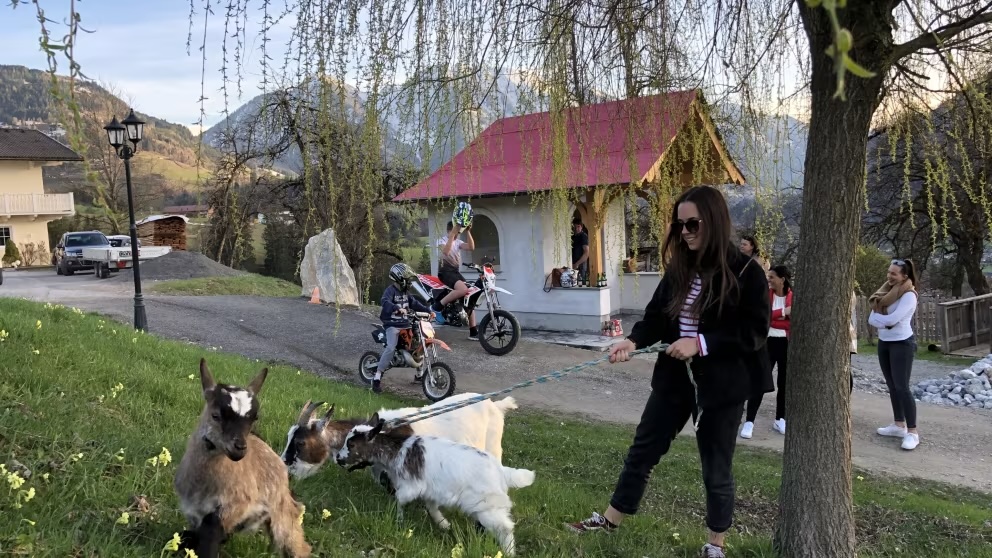 Ferien Bauernhof: Lehenhof Tiere - Lehenhof - Außenbereich, Tiere