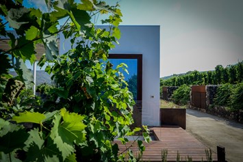 Ferien Bauernhof: Tenuta di Castellaro Winery & Resort