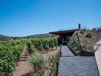 Tenuta di Castellaro Winery & Resort Prezentacja pokoi DOM CAOLINA