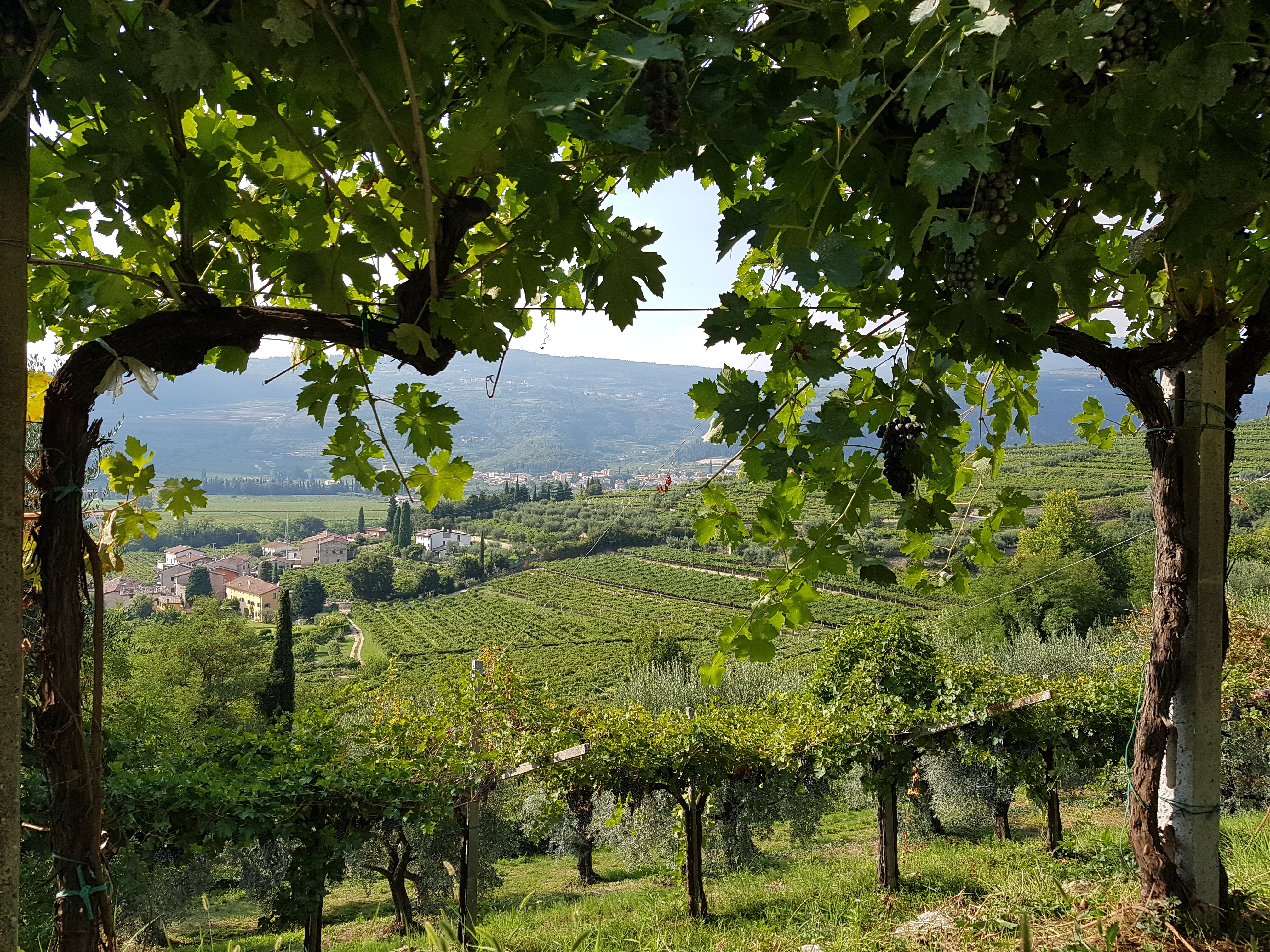 Ferien Bauernhof: Valentina Cubi
