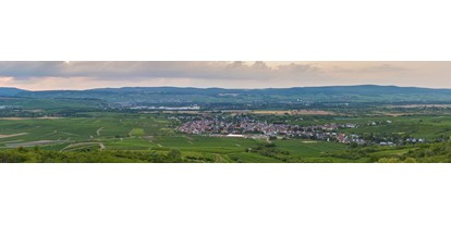 vacanza in fattoria - Kleinkarlbach - Weingut Feser mit Vinothek, Ferienwohnungen & Erlebnis
