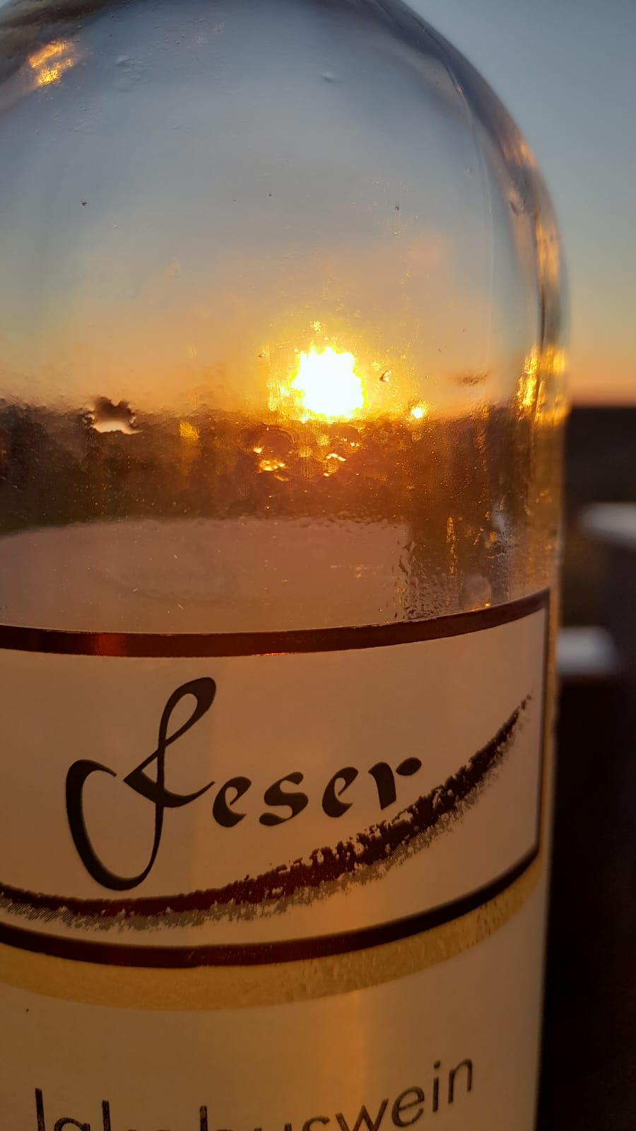 Ferien Bauernhof: Wir freuen uns auf Sie! - Weingut Feser mit Vinothek, Ferienwohnungen & Erlebnis