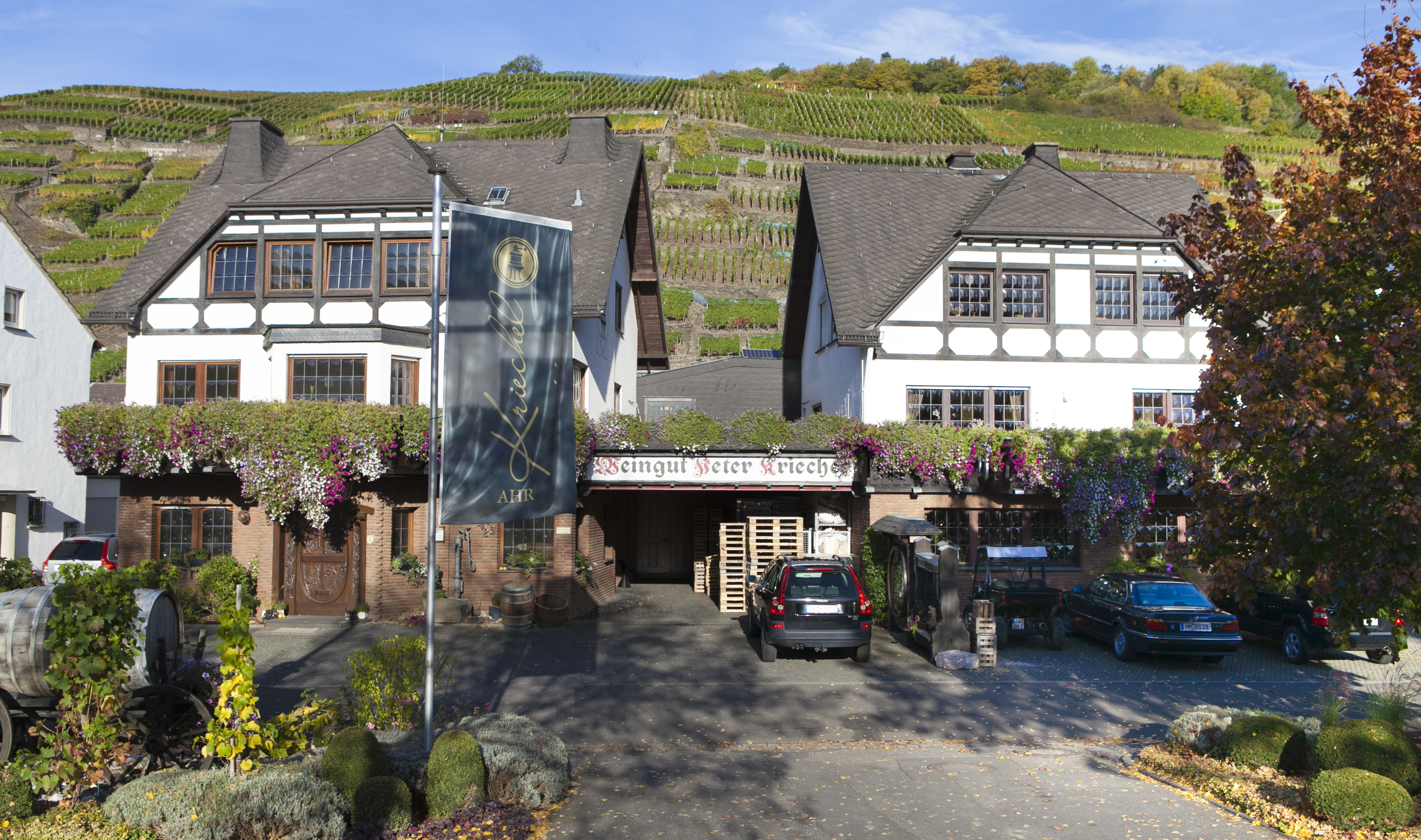 Ferien Bauernhof: Weingut  - Weingut Peter Kriechel