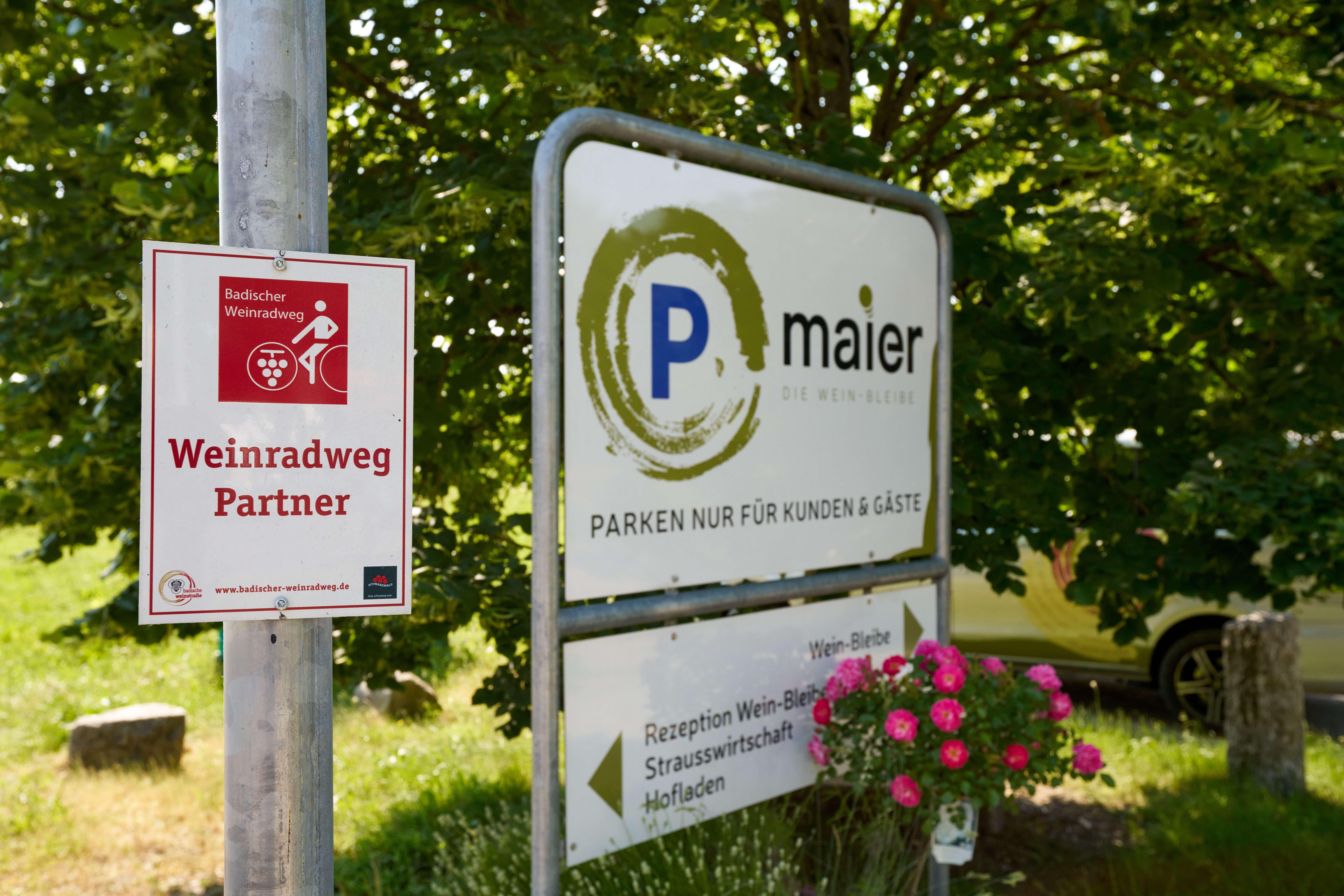 Urlaub auf dem Bauernhof - Ruhelage - Baden-Württemberg - Maier Bio Weingut