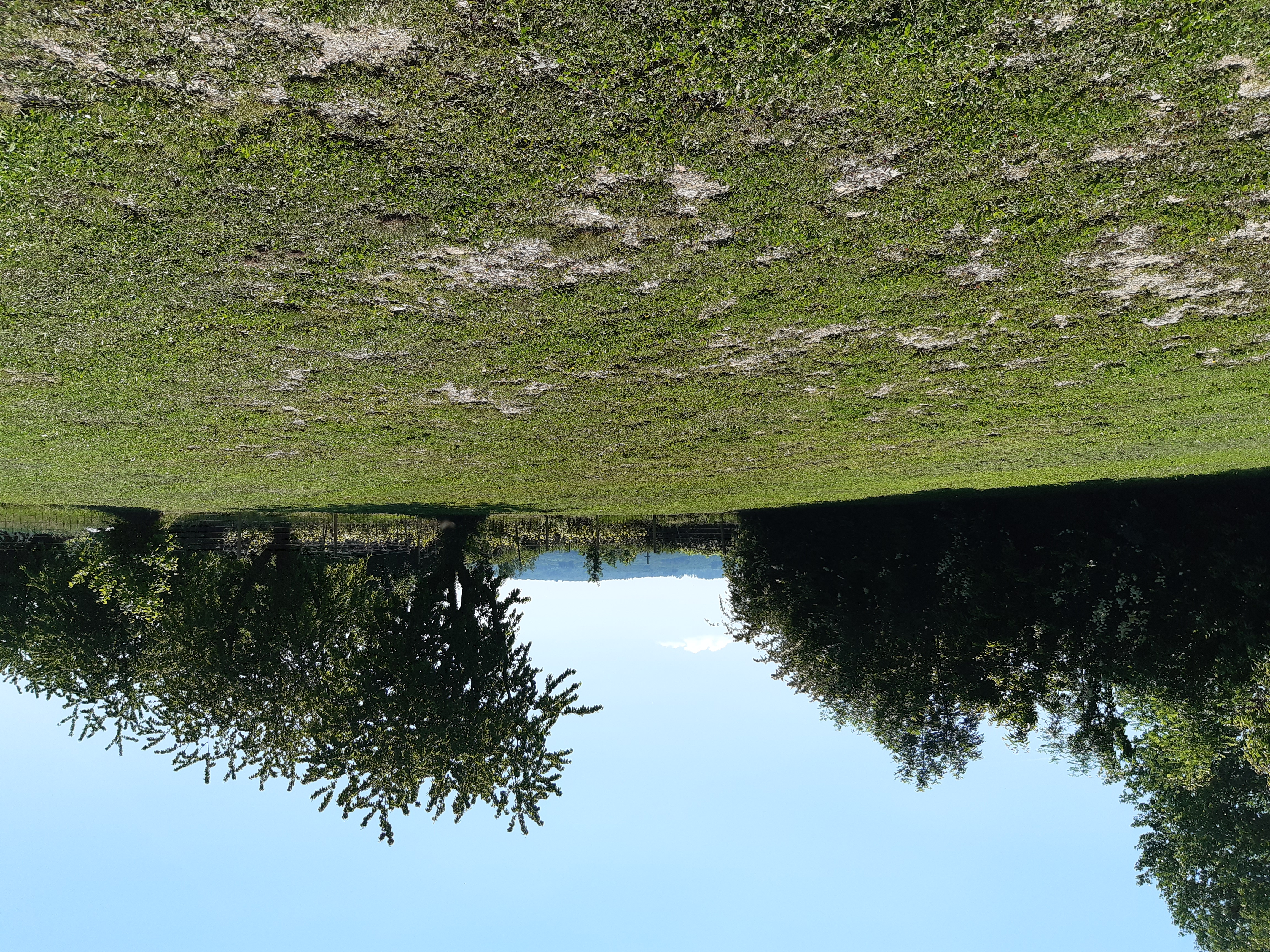 Urlaub auf dem Bauernhof - Ruhelage - Baden-Württemberg - Stellplatz für Camper - Weingut und Weinschenke Zimmermann