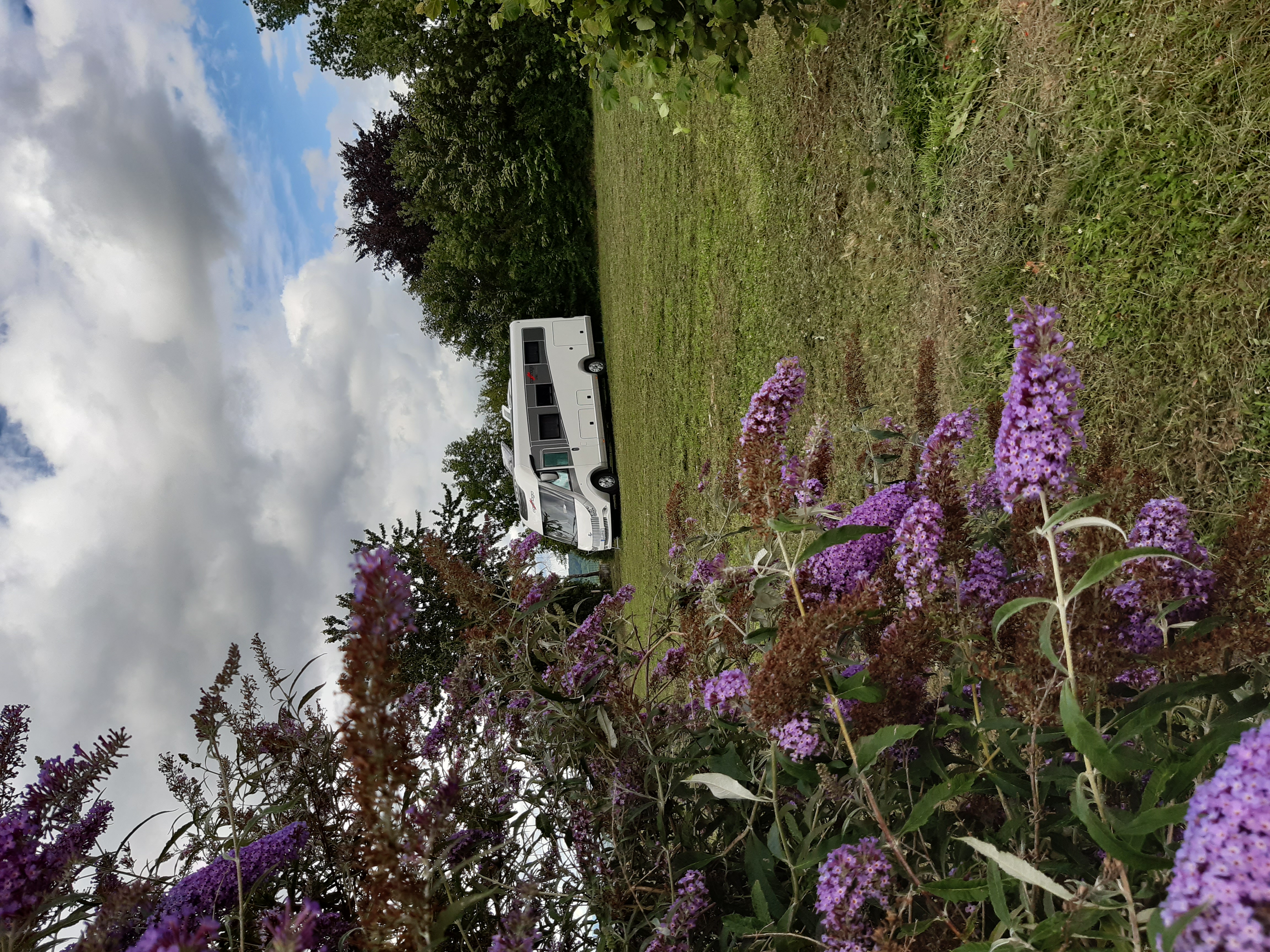 Urlaub auf dem Bauernhof - Ruhelage - Baden-Württemberg - Weingut und Weinschenke Zimmermann