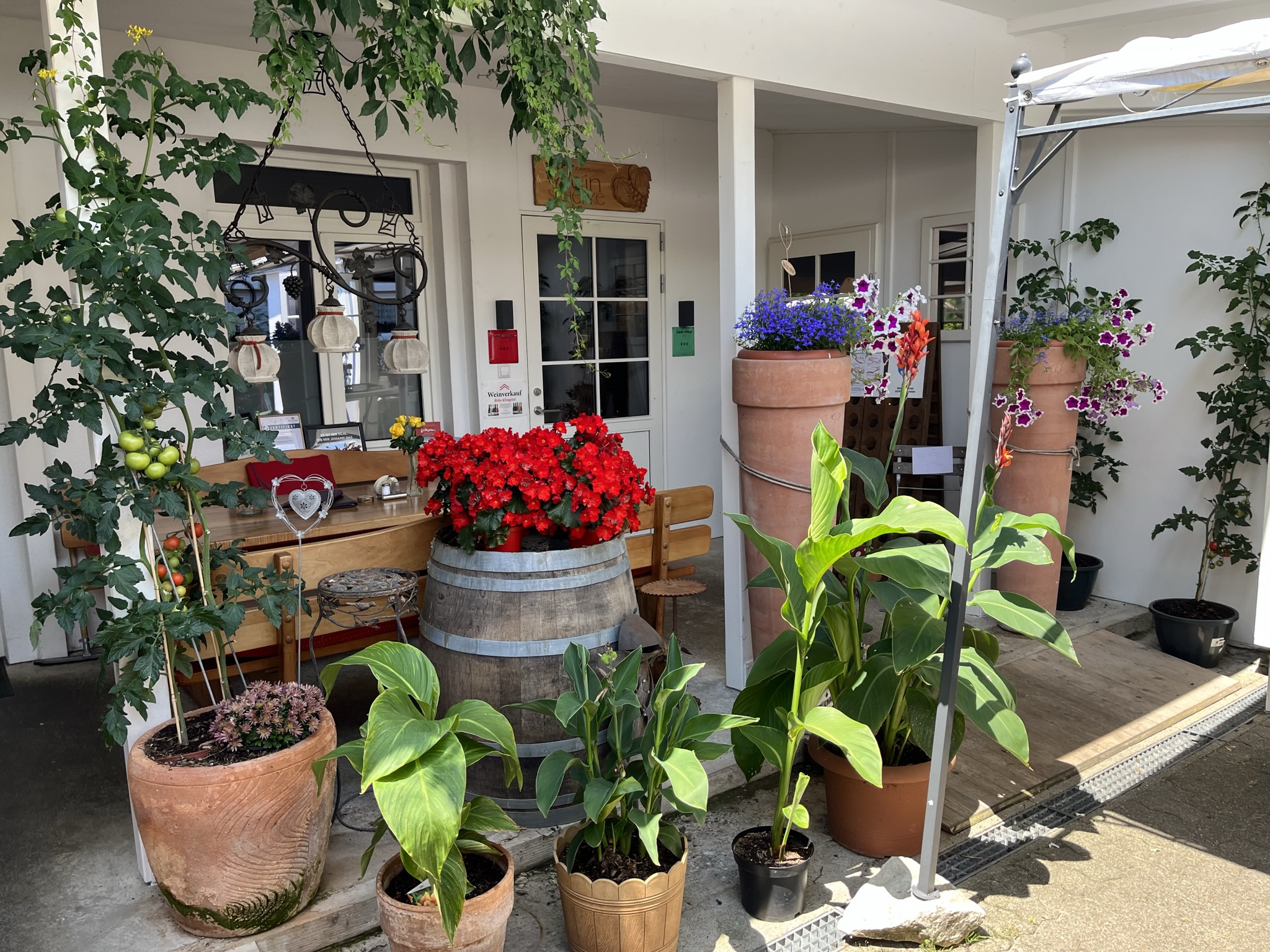 Urlaub auf dem Bauernhof - Ruhelage - Baden-Württemberg - Eingang Weinschenke - Weingut und Weinschenke Zimmermann