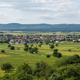 Ferien Bauernhof: Unsere Heimatgemeinde Oslip - Remushof Jagschitz