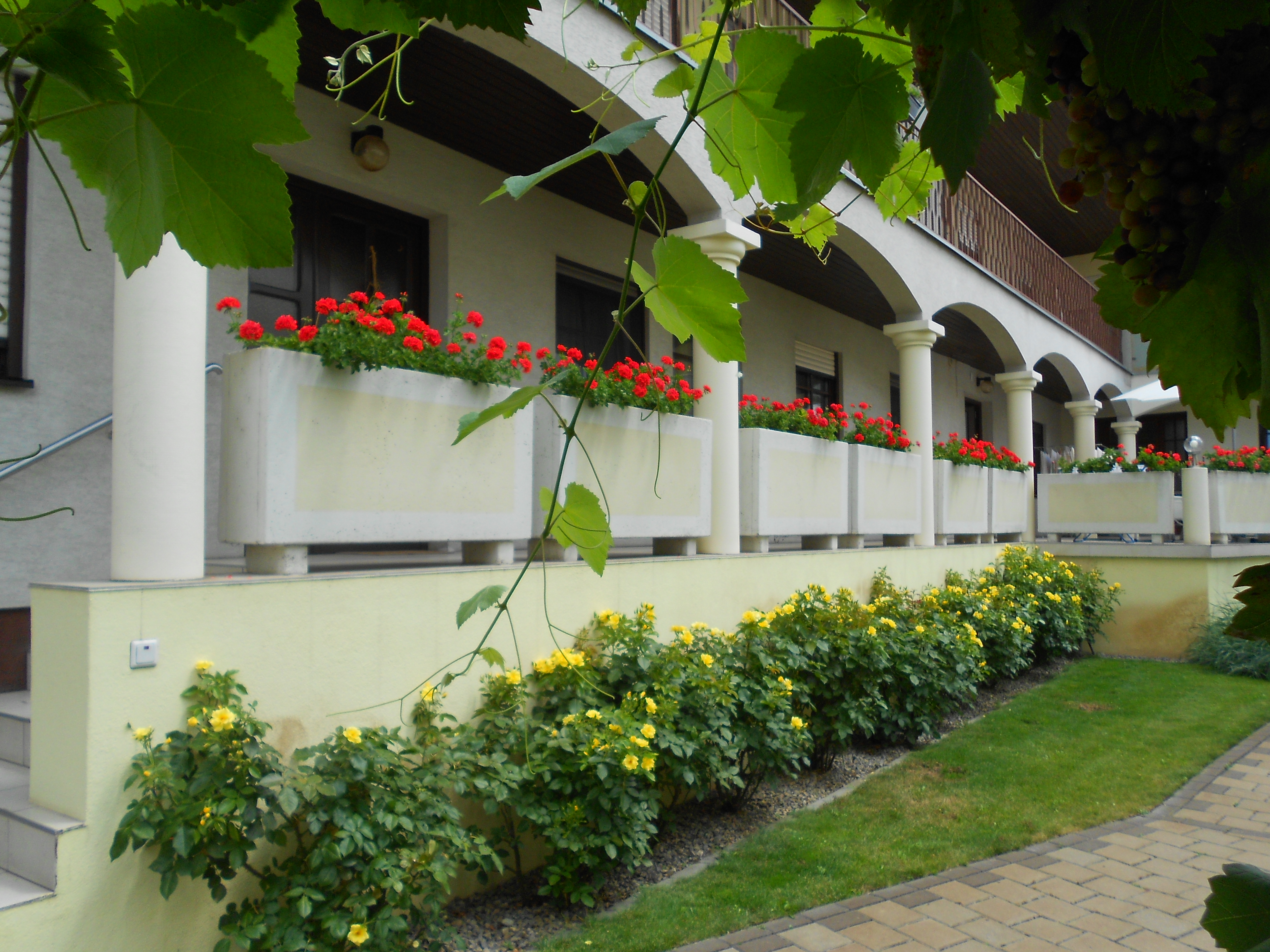 vacation on the farm - Frühstück - Innenhof - Weingut-Gästehaus Palkowitsch
