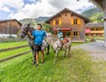 Ferien Bauernhof: Unsere Pferde - Ferienbauernhof Nigsch