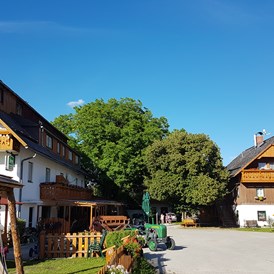 Ferien Bauernhof: Pürcherhof im Sommer - Pürcherhof