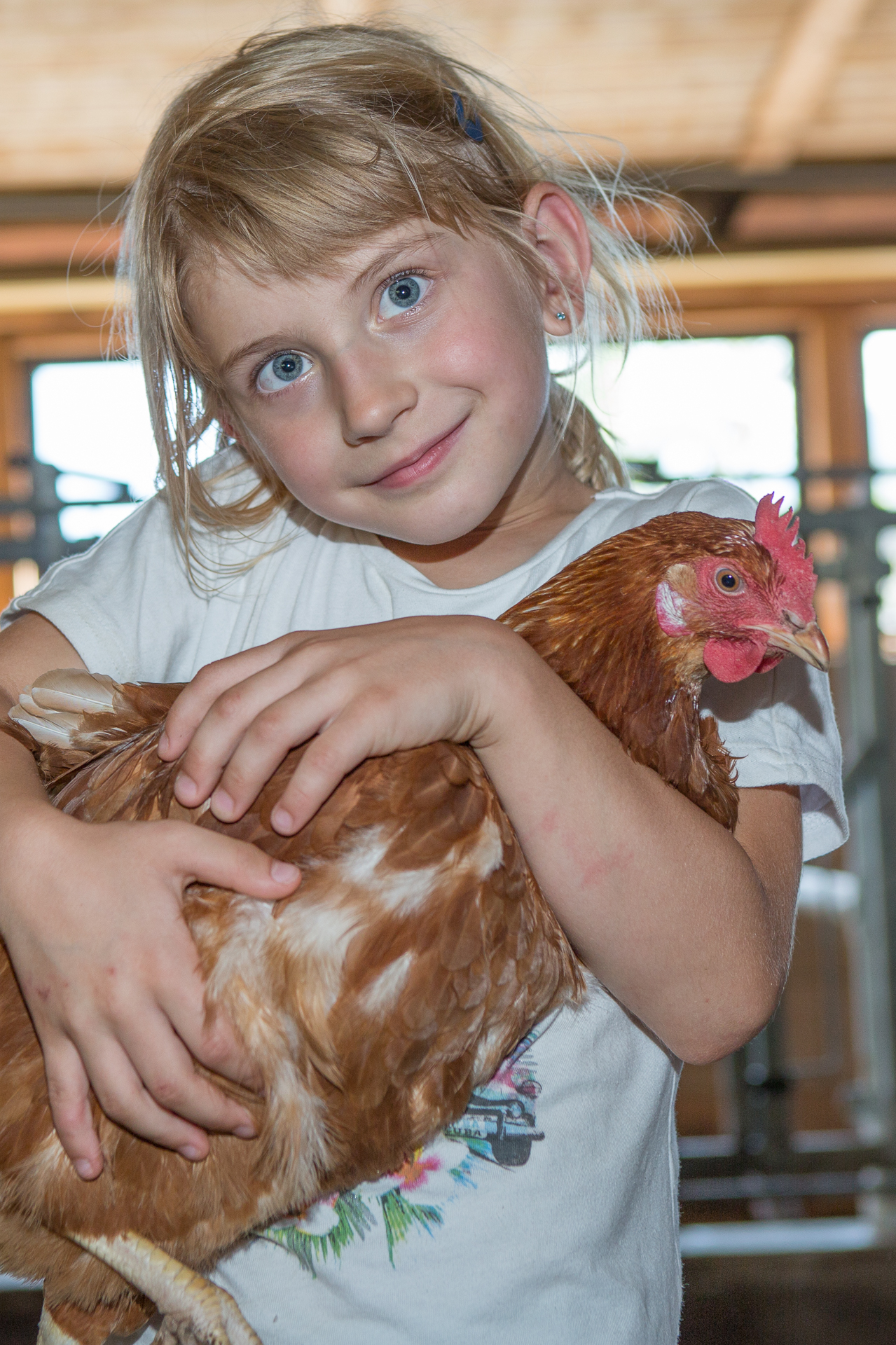 Biobauernhof Reiterhof Onze dieren Lady Gaga in actie